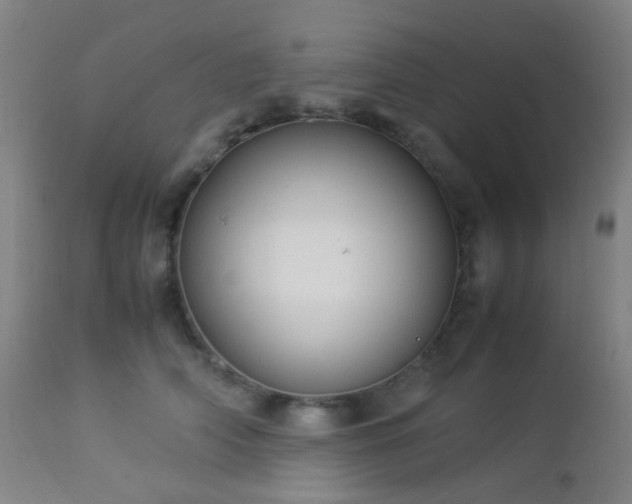 X0000112870706200908211426