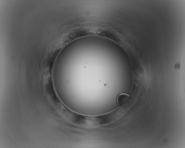 X0000112870707200908211426