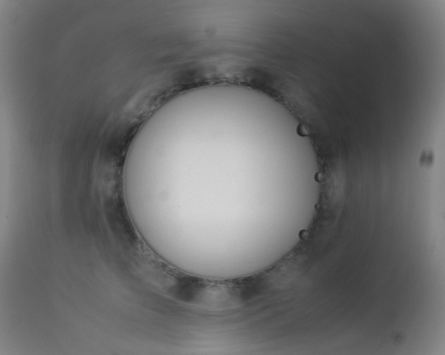 X0000112870709200908211426