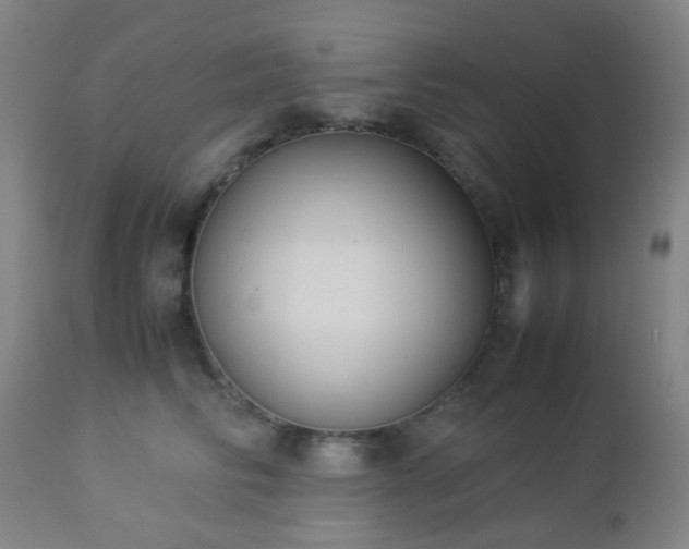 X0000112870710200908211426