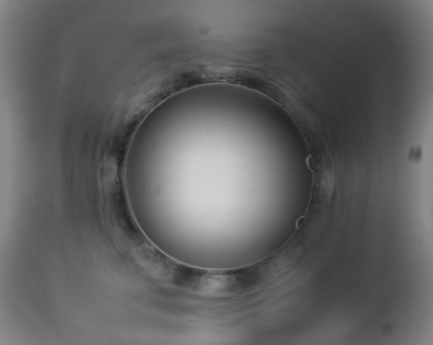 X0000112870711200908211426