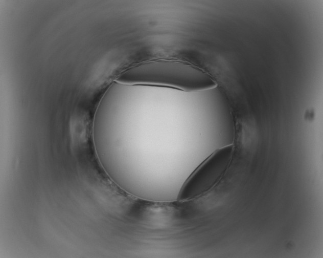 X0000112870712200908211426