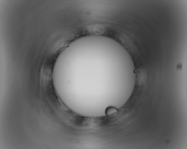 X0000112870713200908211426