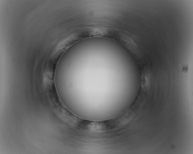 X0000112870714200908211426