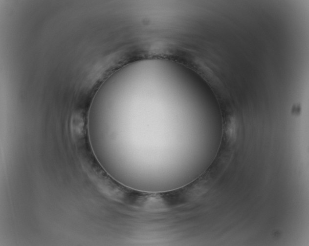 X0000112870715200908211426
