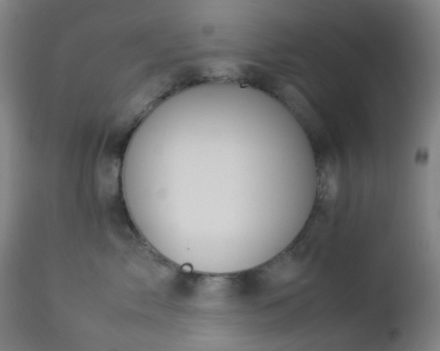 X0000112870717200908211426