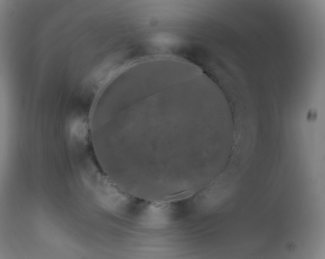 X0000112870720200908211426