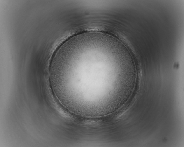 X0000112870721200908211425