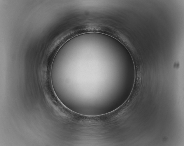 X0000112870722200908211425
