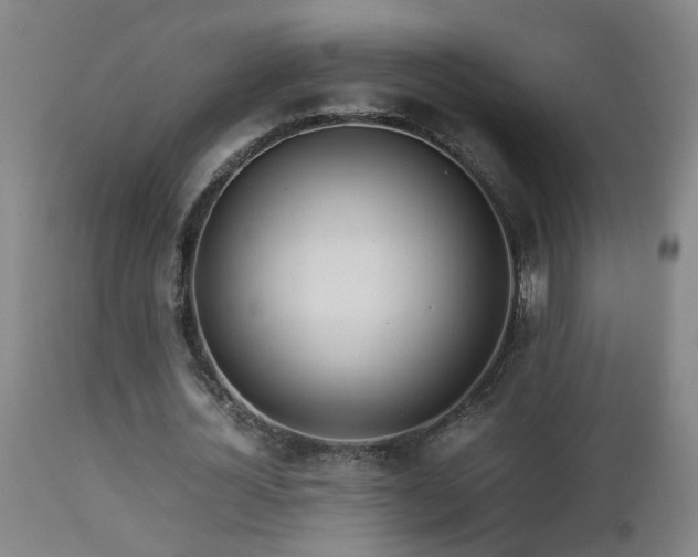 X0000112870724200908211425