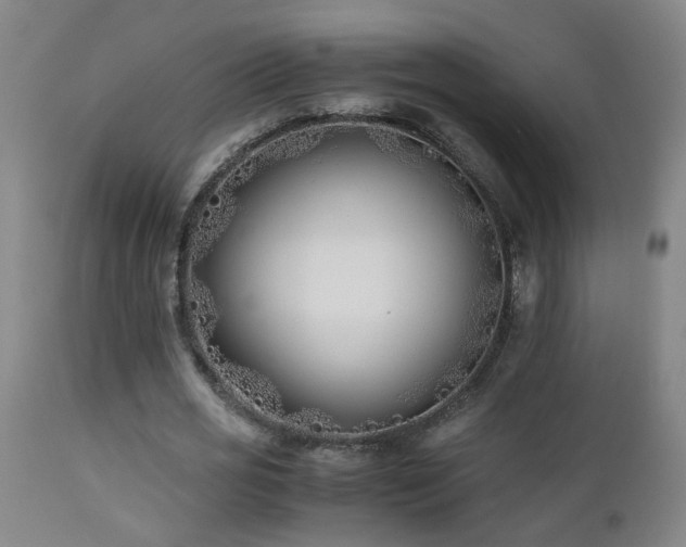 X0000112870725200908211425