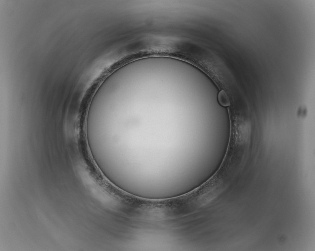 X0000112870726200908211425