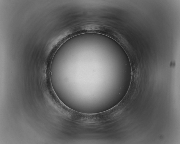 X0000112870727200908211425