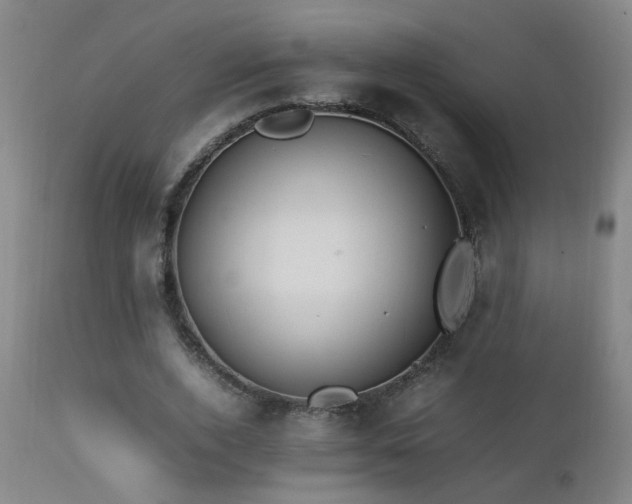 X0000112870728200908211425