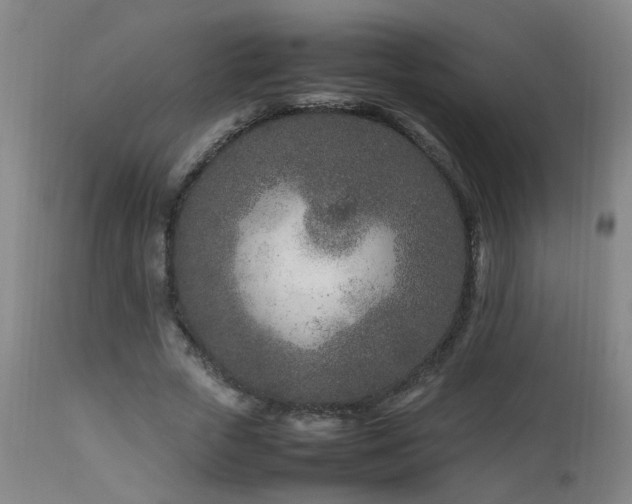 X0000112870729200908211425