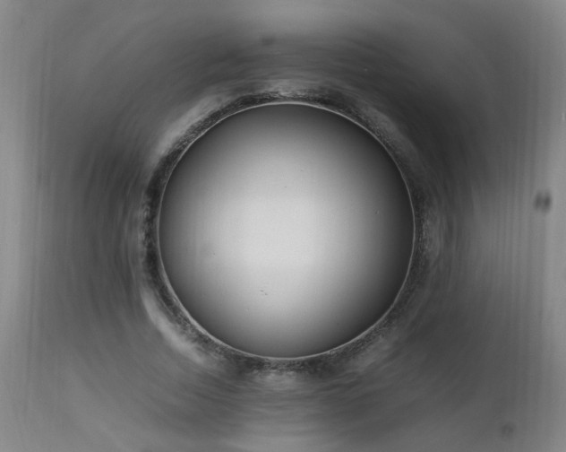 X0000112870730200908211425