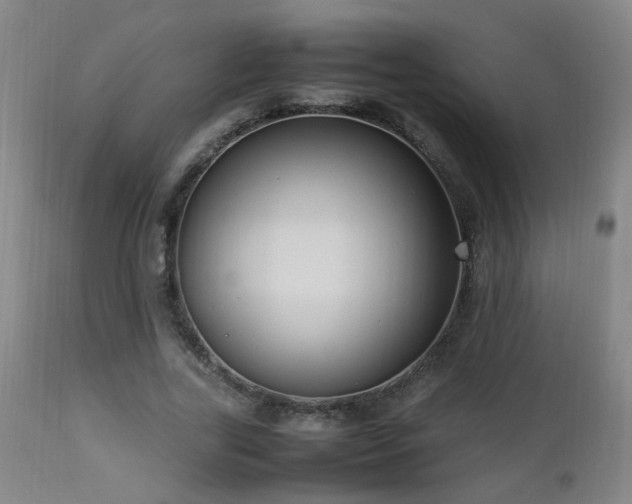 X0000112870731200908211425