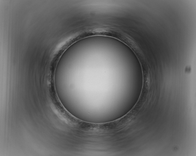 X0000112870732200908211425