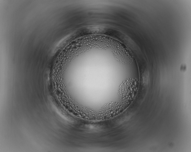 X0000112870733200908211425