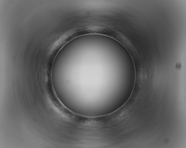 X0000112870734200908211425