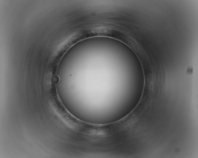 X0000112870735200908211425