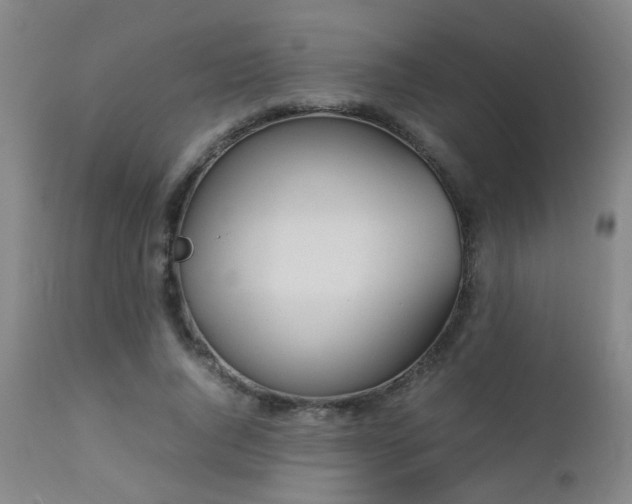 X0000112870736200908211425