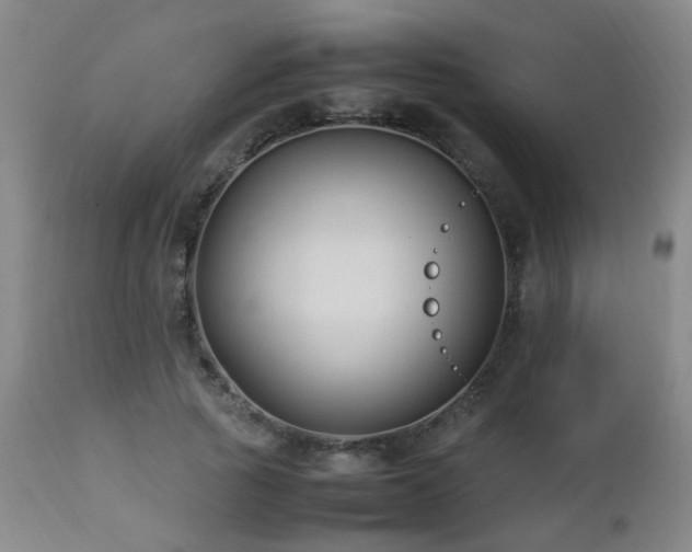 X0000112870737200908211425