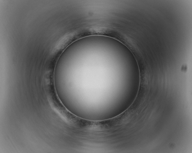 X0000112870738200908211425