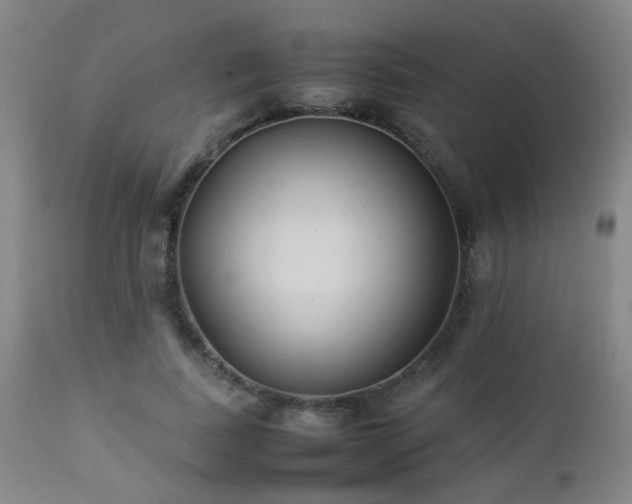 X0000112870739200908211425