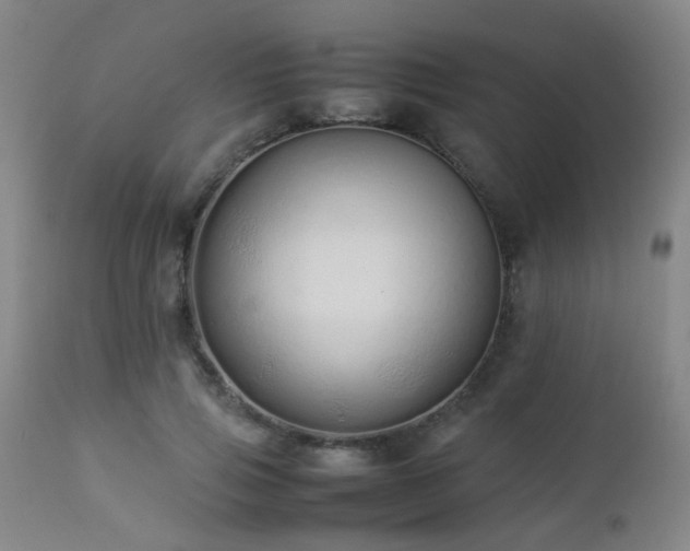 X0000112870741200908211425
