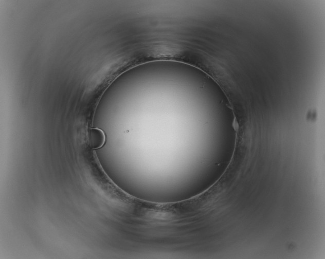 X0000112870743200908211425