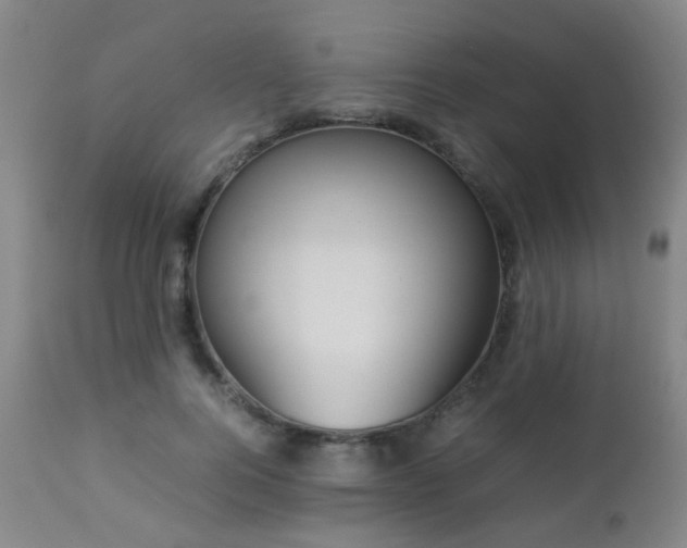 X0000112870744200908211425