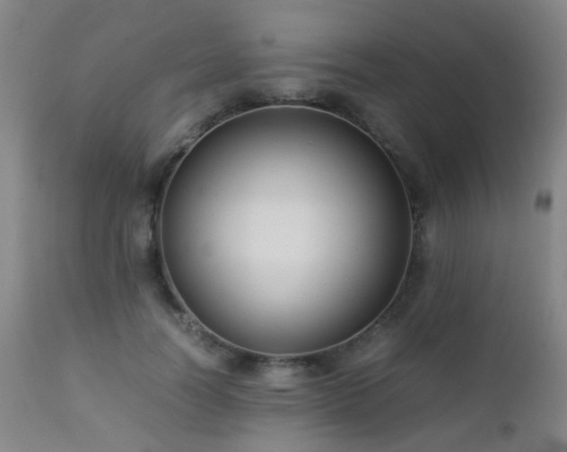 X0000112870746200908211425