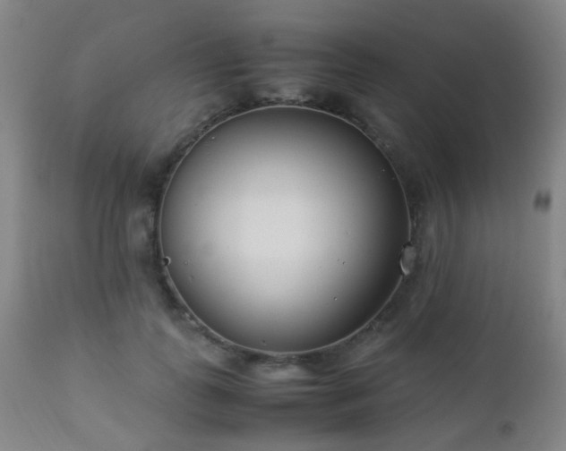 X0000112870747200908211426