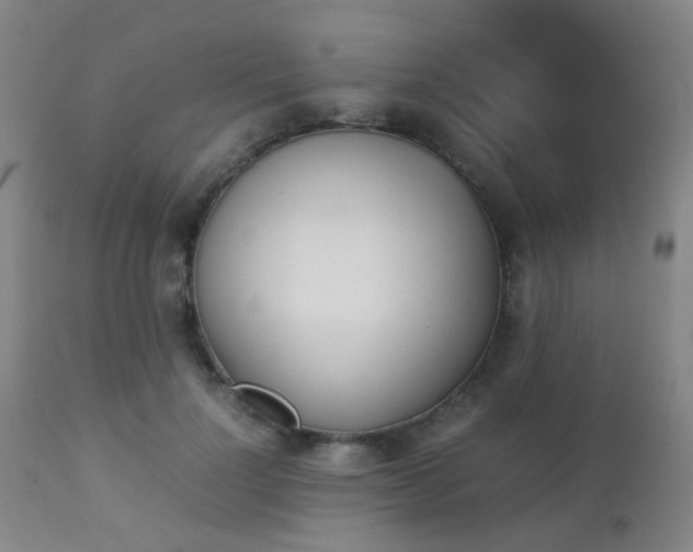 X0000112870748200908211426