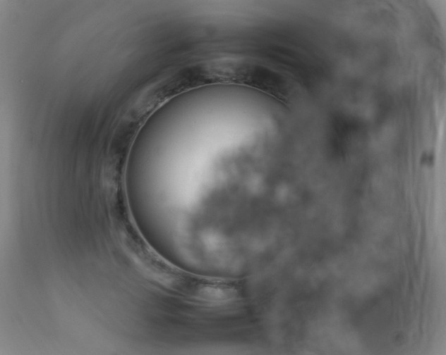 X0000112870749200908211426