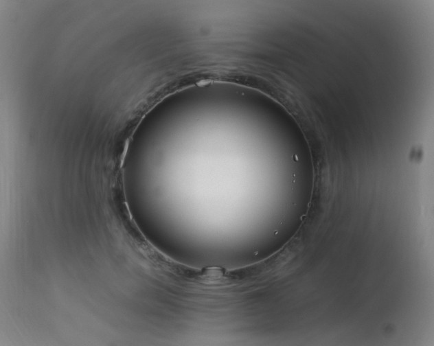 X0000112870750200908211426