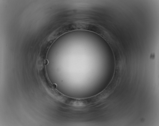 X0000112870751200908211426