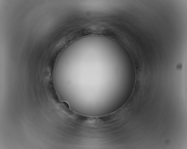 X0000112870752200908211426