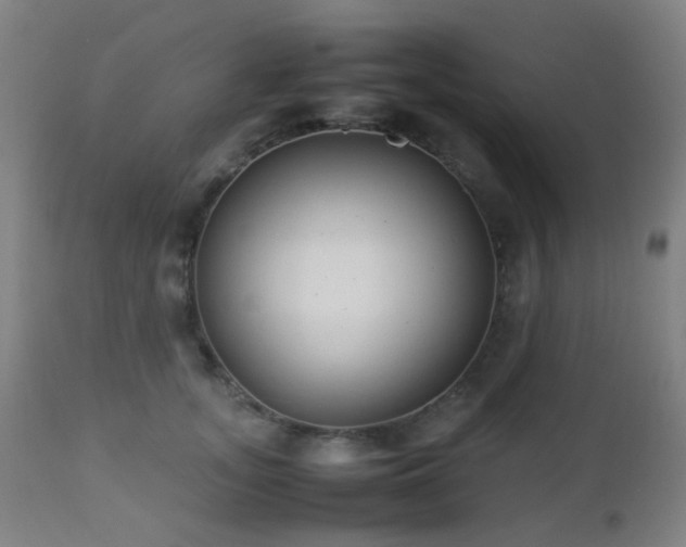 X0000112870755200908211426