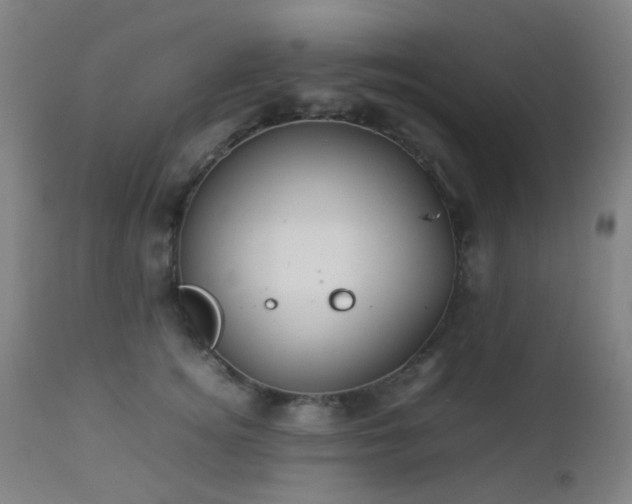 X0000112870756200908211426