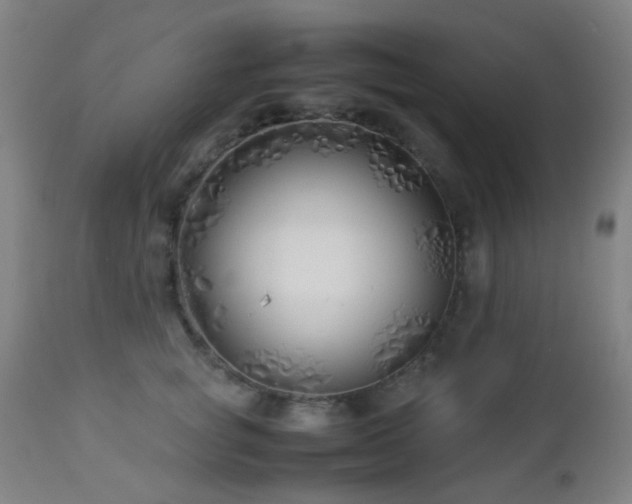 X0000112870757200908211426