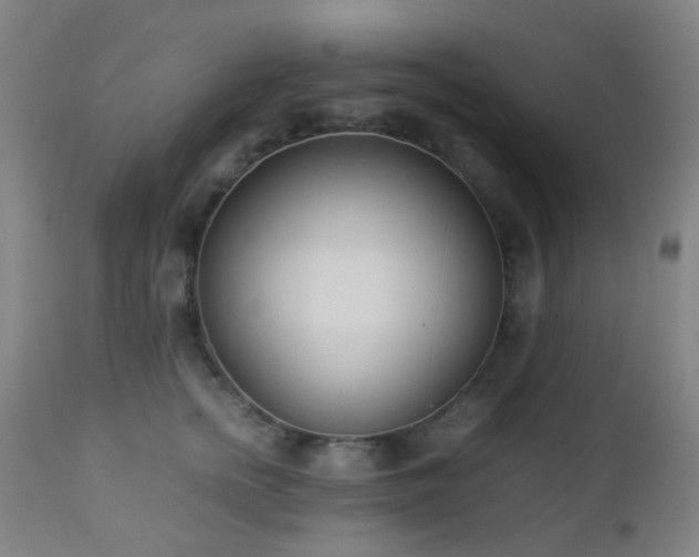 X0000112870758200908211426