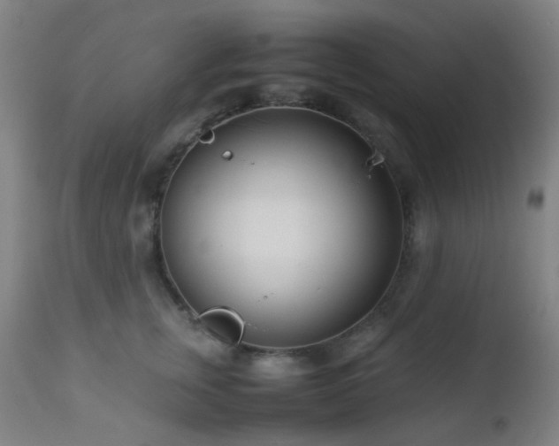 X0000112870759200908211426