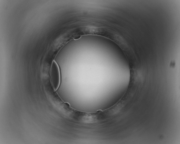 X0000112870760200908211426