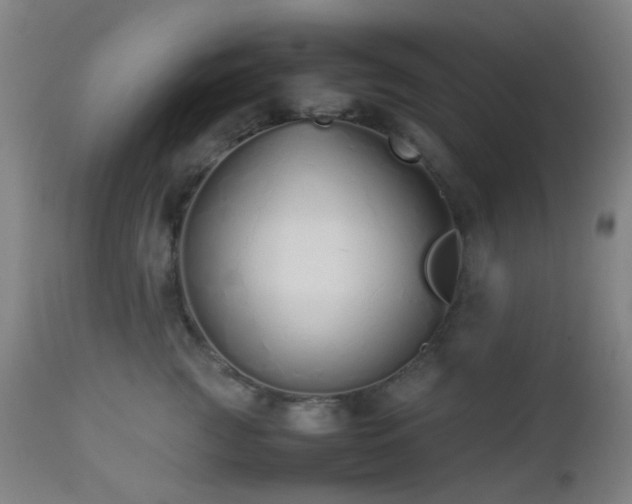 X0000112870761200908211426