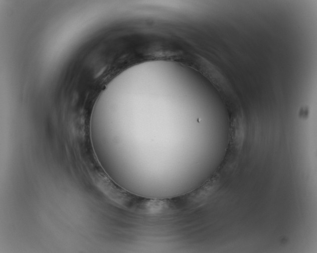 X0000112870762200908211426