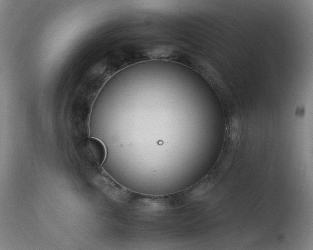 X0000112870763200908211426