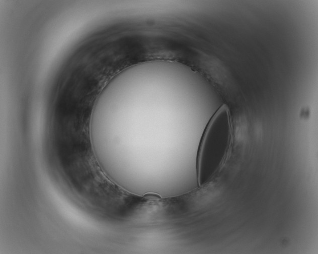 X0000112870764200908211426
