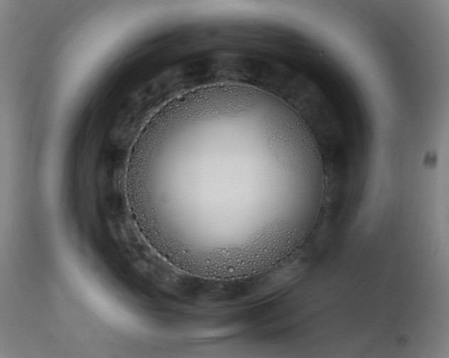 X0000112870765200908211426